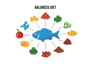 alimentação de peixes de aquário